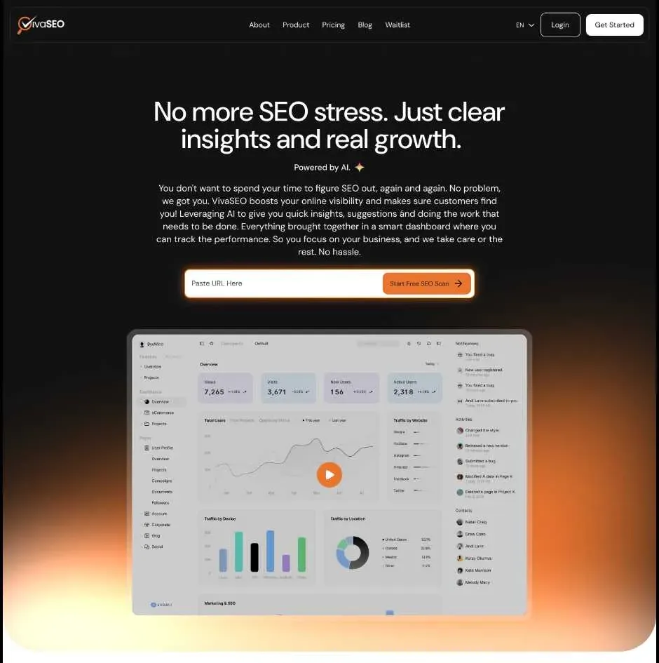 Viva SEO Website